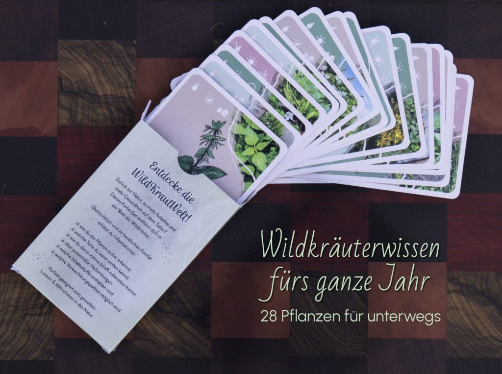 Wildkräuter Lernkarten, Wildkräuter sammeln lenern, Wildkräuter sicher bestimmen