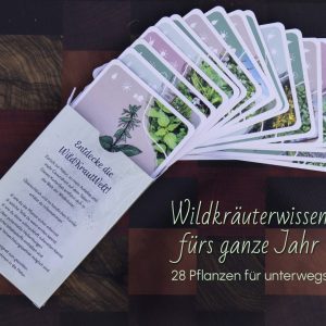 Wildkräuter Lernkarten, Wildkräuter sammeln lenern, Wildkräuter sicher bestimmen