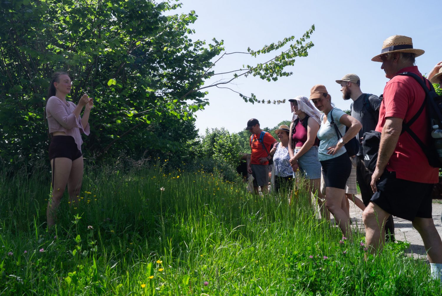 Wildkräuterwanderung bei Freiburg für Anfänger Wildkräuterwanderung bei Freiburg, Kräuterwanderung, Wildkräuter Führung, Wildkräuterwanderungen Freiburg, Kräuterwanderung bei Freiburg , Wildkräuterführung in der Nähe, Wildkräuterwanderung Schwarzwald, Wildkräuter Kochkurs Freiburg