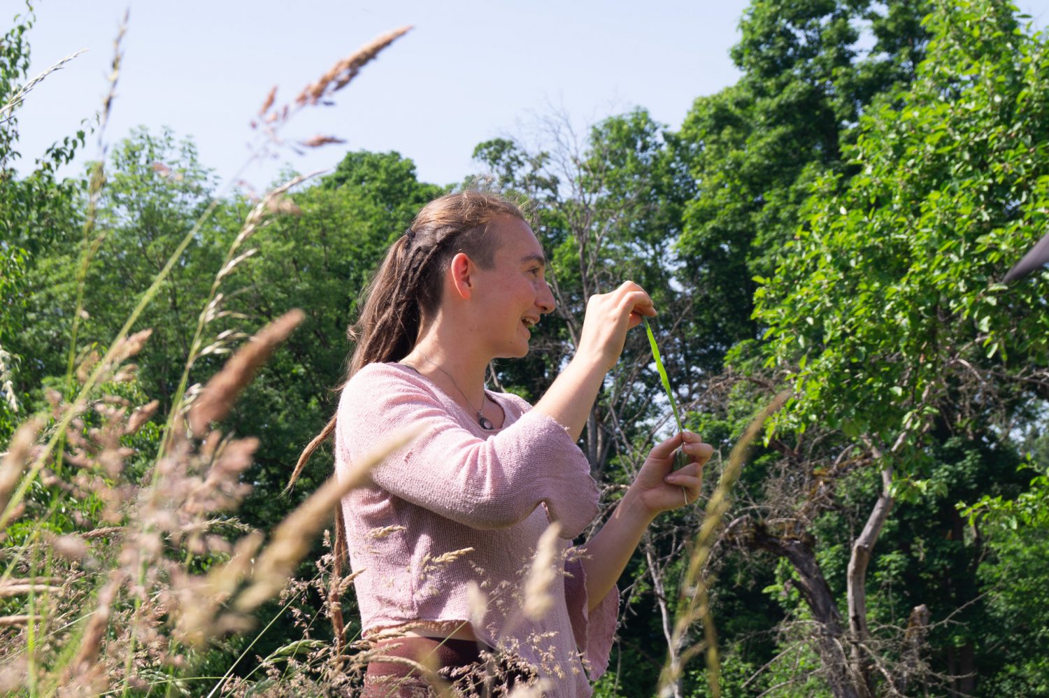 Wildkräuterwanderung bei Freiburg für Anfänger Wildkräuterwanderung bei Freiburg, Kräuterwanderung, Wildkräuter Führung, Wildkräuterwanderungen Freiburg, Kräuterwanderung bei Freiburg , Wildkräuterführung in der Nähe, Wildkräuterwanderung Schwarzwald, Wildkräuter Kochkurs Freiburg