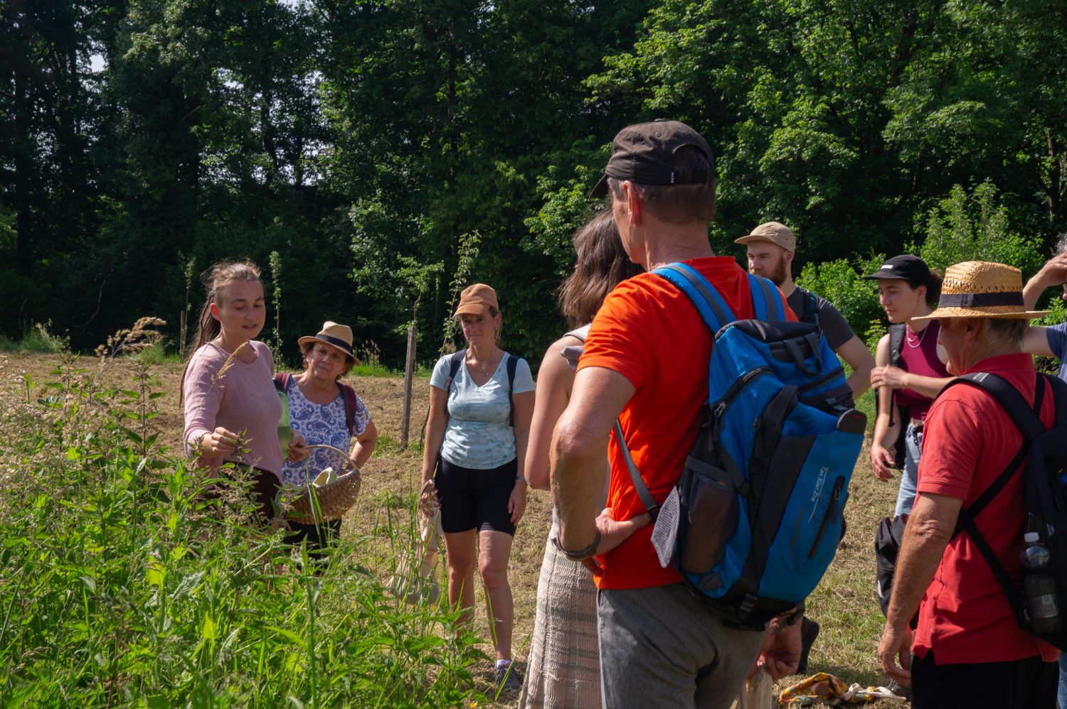 Wildkräuterwanderung bei Freiburg für Anfänger Wildkräuterwanderung bei Freiburg, Kräuterwanderung, Wildkräuter Führung, Wildkräuterwanderungen Freiburg, Kräuterwanderung bei Freiburg , Wildkräuterführung in der Nähe, Wildkräuterwanderung Schwarzwald, Wildkräuter Kochkurs Freiburg