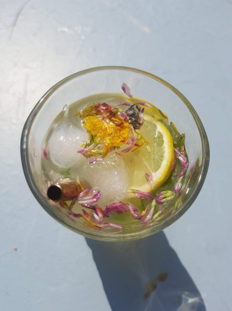 Blüten-Eiswürfel Wildblumen Eiswürfel