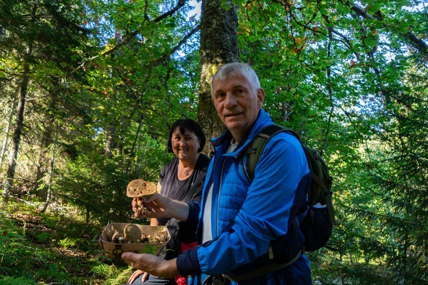 Pilzwanderung bei Freiburg Pilzführung für Einsteiger