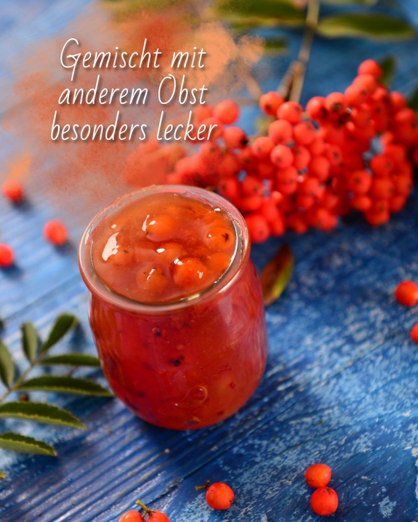 Ist die Vogelbeere essbar oder giftig? Vogelbeere