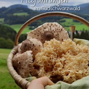 Pilzwanderung bei Freiburg