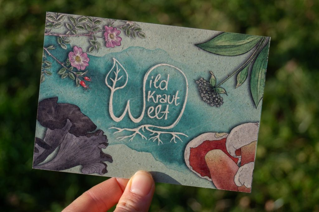 Gutschein von WildKrautWelt, Pilzführungen & Kräuterwanderungen