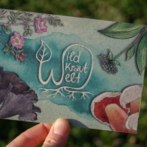 Gutschein von WildKrautWelt, Pilzführungen & Kräuterwanderungen