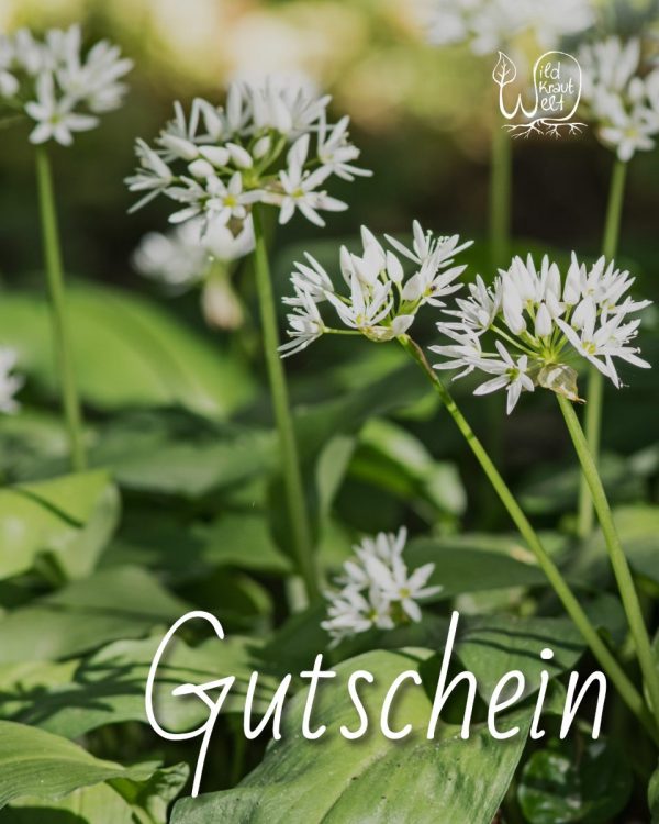 Gutschein von WildKrautWelt – Bild 2