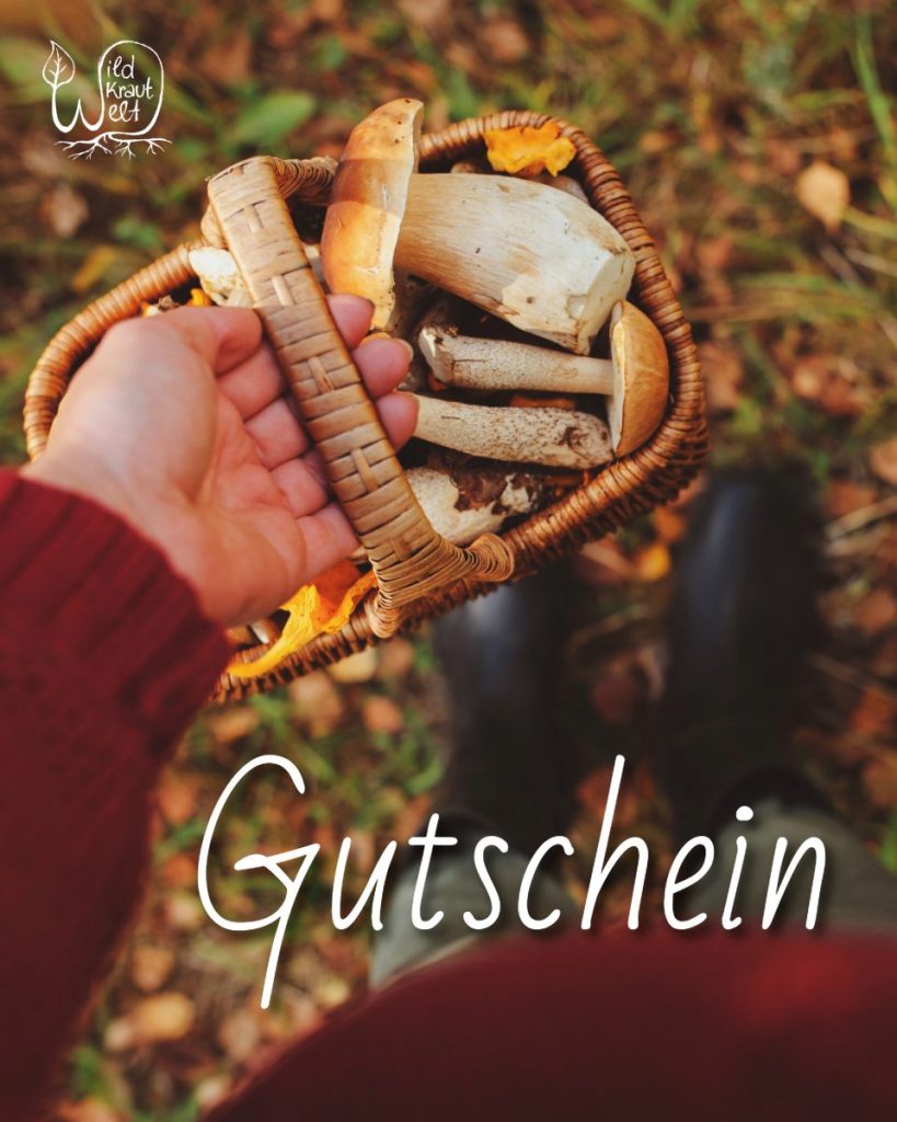 Gutschein von WildKrautWelt