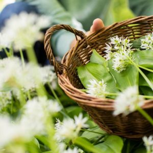 Kurse Südschwarzwald