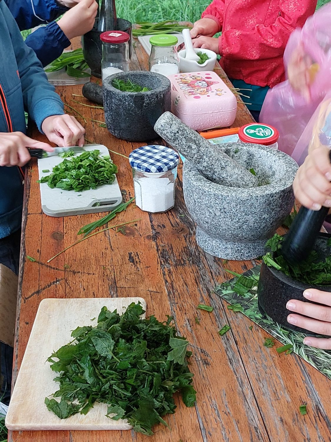 Kinderferienprogramm Wildkräuter Kinderferienprogramm Wildkräuter Freiburg, Kinderferienprogramm Schwarzwald-Wildkräuter