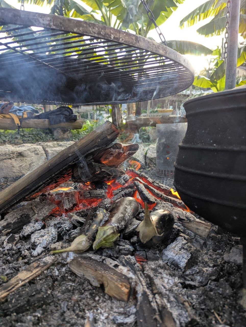 Wildkräuter Feuerküche-Seminar Wildkräuter Feuerküche, Wildkraeuter Feuerkueche