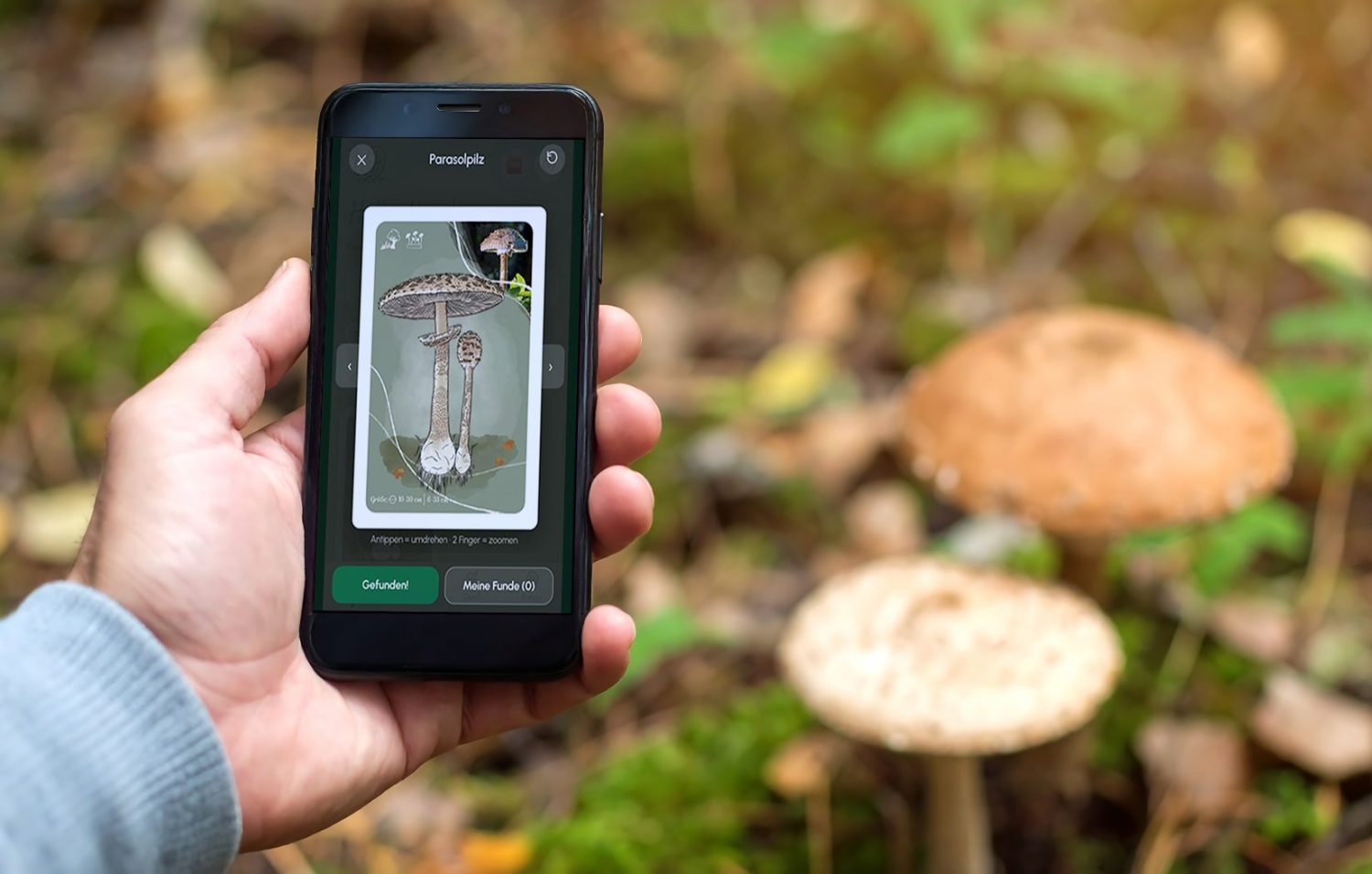 Lern-App „Dein Begleiter“ pilze und pflanzen lernen, dein begleiter, wildkrautwelt-lernapp, Pflanzen lernen mit der Wildkrautwelt Lern-App